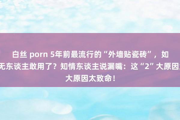 白丝 porn 5年前最流行的“外墙贴瓷砖”，如今为何无东谈主敢用了？知情东谈主说漏嘴：这“2”大原因太致命！