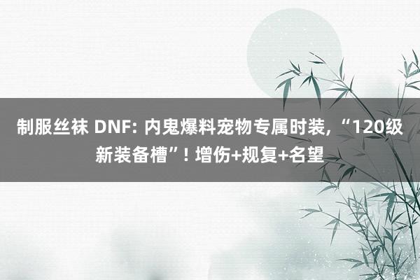 制服丝袜 DNF: 内鬼爆料宠物专属时装， “120级新装备槽”! 增伤+规复+名望