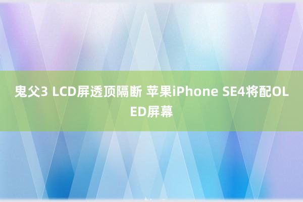 鬼父3 LCD屏透顶隔断 苹果iPhone SE4将配OLED屏幕