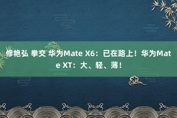 修艳弘 拳交 华为Mate X6：已在路上！华为Mate XT：大、轻、薄！