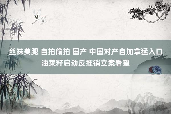 丝袜美腿 自拍偷拍 国产 中国对产自加拿猛入口油菜籽启动反推销立案看望