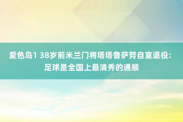 爱色岛1 38岁前米兰门将塔塔鲁萨努自宣退役: 足球是全国上最清秀的通顺