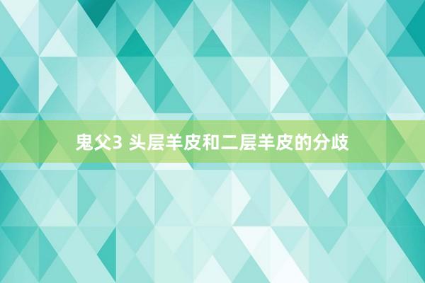 鬼父3 头层羊皮和二层羊皮的分歧