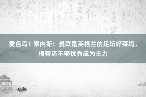 爱色岛1 索内斯：曼联是英格兰的足坛好莱坞，梅努还不够优秀成为主力