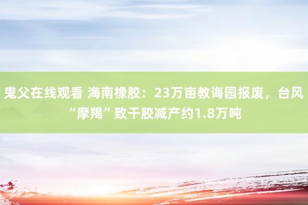 鬼父在线观看 海南橡胶：23万亩教诲园报废，台风“摩羯”致干胶减产约1.8万吨