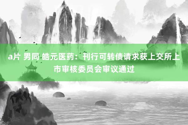 a片 男同 皓元医药：刊行可转债请求获上交所上市审核委员会审议通过