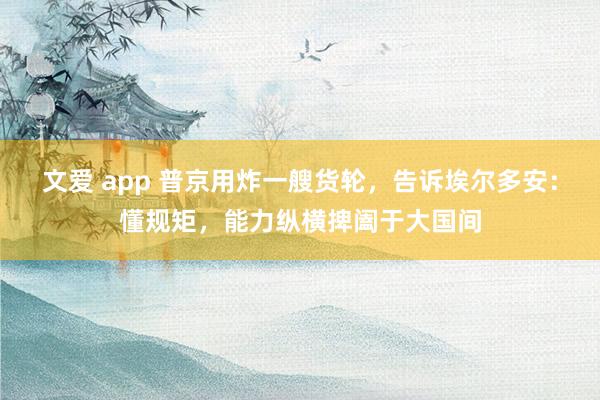 文爱 app 普京用炸一艘货轮，告诉埃尔多安：懂规矩，能力纵横捭阖于大国间