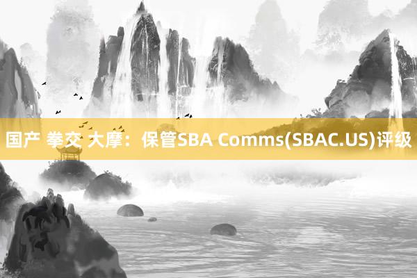 国产 拳交 大摩：保管SBA Comms(SBAC.US)评级