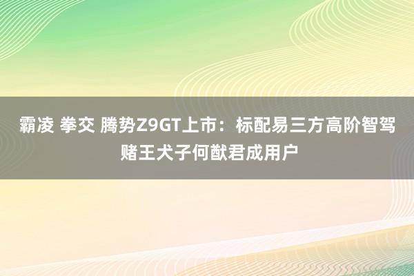 霸凌 拳交 腾势Z9GT上市：标配易三方高阶智驾 赌王犬子何猷君成用户