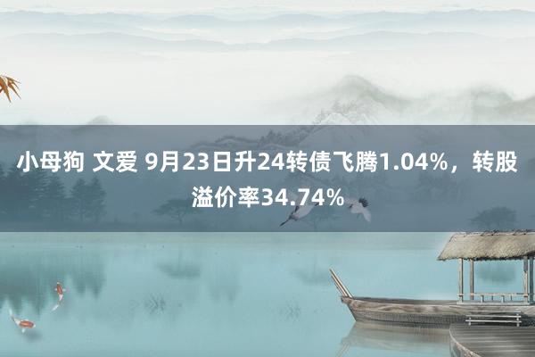 小母狗 文爱 9月23日升24转债飞腾1.04%，转股溢价率34.74%