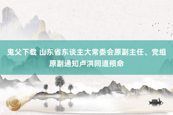 鬼父下载 山东省东谈主大常委会原副主任、党组原副通知卢洪同道殒命