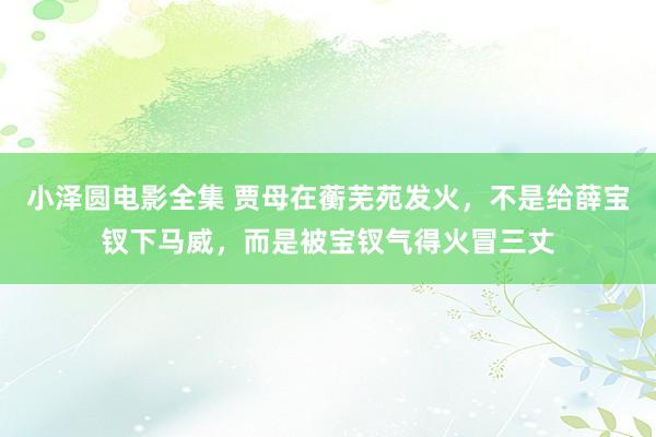 小泽圆电影全集 贾母在蘅芜苑发火，不是给薛宝钗下马威，而是被宝钗气得火冒三丈