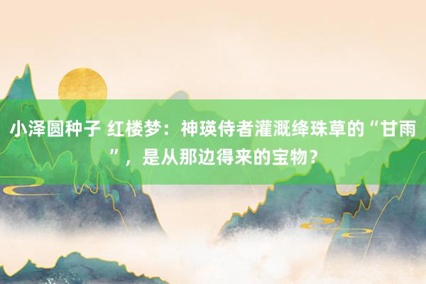 小泽圆种子 红楼梦：神瑛侍者灌溉绛珠草的“甘雨”，是从那边得来的宝物？