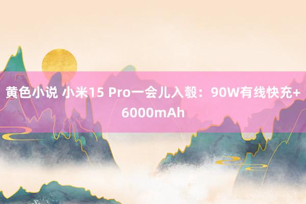 黄色小说 小米15 Pro一会儿入彀：90W有线快充+6000mAh