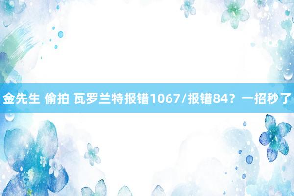 金先生 偷拍 瓦罗兰特报错1067/报错84？一招秒了