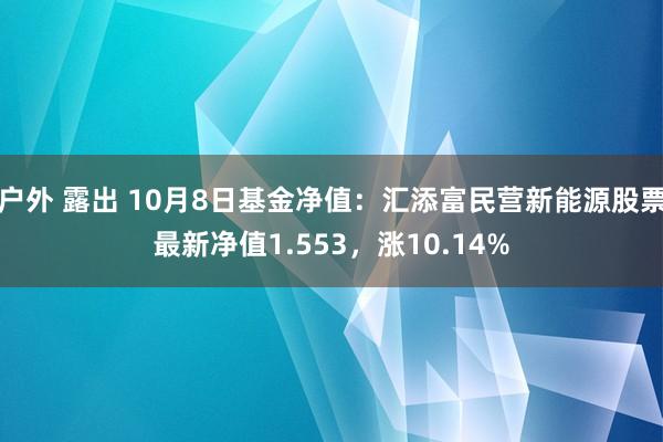 户外 露出 10月8日基金净值：汇添富民营新能源股票最新净值1.553，涨10.14%