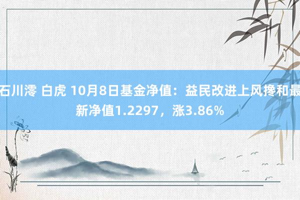 石川澪 白虎 10月8日基金净值：益民改进上风搀和最新净值1.2297，涨3.86%