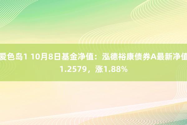 爱色岛1 10月8日基金净值：泓德裕康债券A最新净值1.2579，涨1.88%