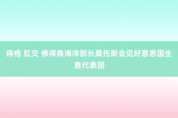 痔疮 肛交 佛得角海洋部长桑托斯会见好意思国生意代表团