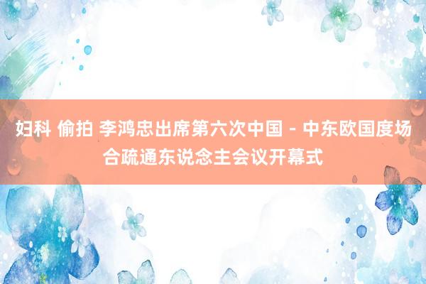 妇科 偷拍 李鸿忠出席第六次中国－中东欧国度场合疏通东说念主会议开幕式