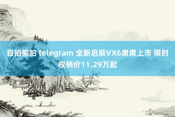 自拍偷拍 telegram 全新启辰VX6肃肃上市 限时权柄价11.29万起