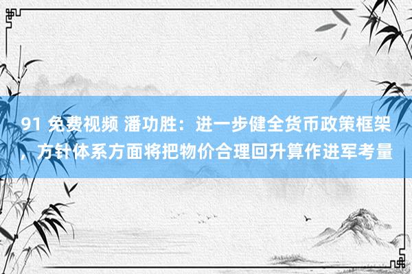 91 免费视频 潘功胜：进一步健全货币政策框架，方针体系方面将把物价合理回升算作进军考量