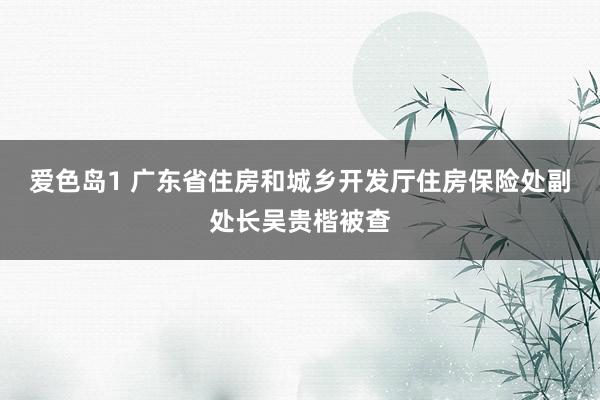 爱色岛1 广东省住房和城乡开发厅住房保险处副处长吴贵楷被查