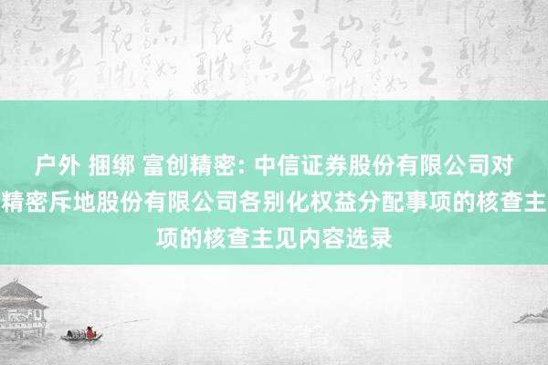 户外 捆绑 富创精密: 中信证券股份有限公司对于沈阳富创精密斥地股份有限公司各别化权益分配事项的核查主见内容选录