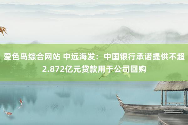 爱色岛综合网站 中远海发：中国银行承诺提供不超2.872亿元贷款用于公司回购