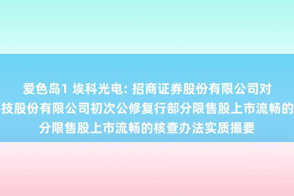 爱色岛1 埃科光电: 招商证券股份有限公司对于合肥埃科光电科技股份有限公司初次公修复行部分限售股上市流畅的核查办法实质撮要