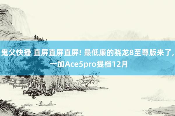 鬼父快播 直屏直屏直屏! 最低廉的骁龙8至尊版来了， 一加Ace5pro提档12月