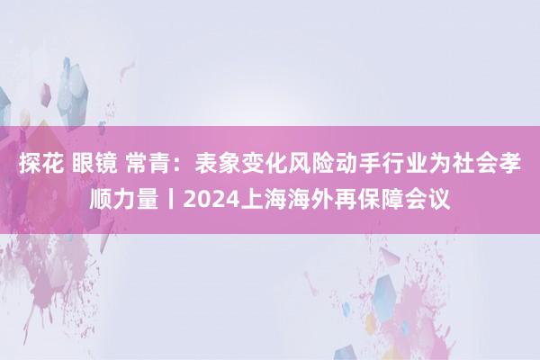 探花 眼镜 常青：表象变化风险动手行业为社会孝顺力量丨2024上海海外再保障会议