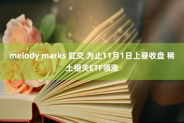 melody marks 肛交 为止11月1日上昼收盘 稀土相关ETF领涨