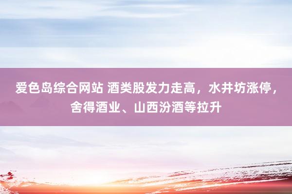 爱色岛综合网站 酒类股发力走高，水井坊涨停，舍得酒业、山西汾酒等拉升