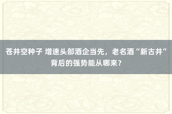 苍井空种子 增速头部酒企当先，老名酒“新古井”背后的强势能从哪来？