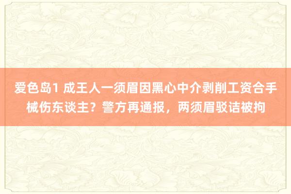 爱色岛1 成王人一须眉因黑心中介剥削工资合手械伤东谈主？警方再通报，两须眉驳诘被拘