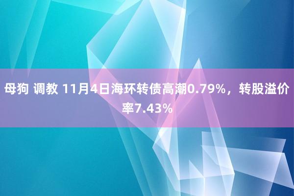 母狗 调教 11月4日海环转债高潮0.79%，转股溢价率7.43%