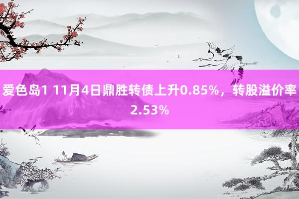 爱色岛1 11月4日鼎胜转债上升0.85%，转股溢价率2.53%