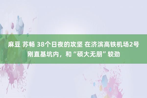 麻豆 苏畅 38个日夜的攻坚 在济滨高铁机场2号刚直基坑内，和“硕大无朋”较劲