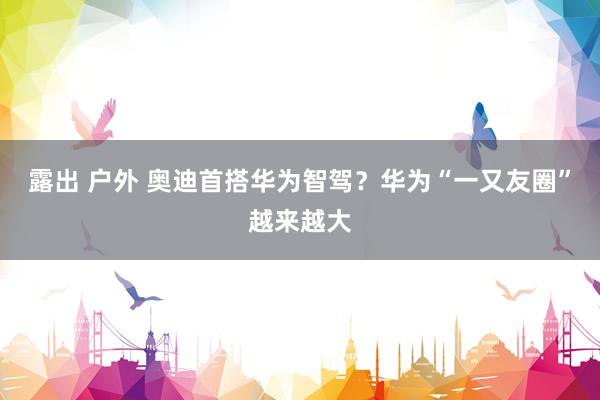 露出 户外 奥迪首搭华为智驾？华为“一又友圈”越来越大