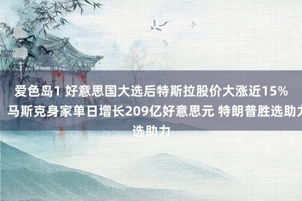 爱色岛1 好意思国大选后特斯拉股价大涨近15%，马斯克身家单日增长209亿好意思元 特朗普胜选助力