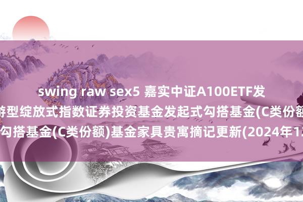 swing raw sex5 嘉实中证A100ETF发起勾搭C: 嘉实中证A100交游型绽放式指数证券投资基金发起式勾搭基金(C类份额)基金家具贵寓摘记更新(2024年12月19日)