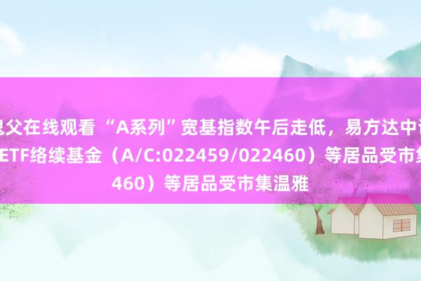 鬼父在线观看 “A系列”宽基指数午后走低，易方达中证A500ETF络续基金（A/C:022459/022460）等居品受市集温雅