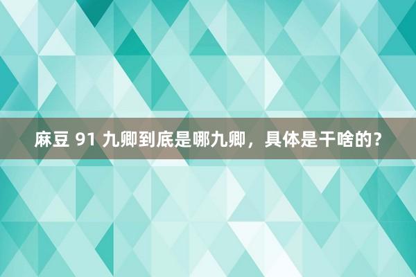 麻豆 91 九卿到底是哪九卿，具体是干啥的？