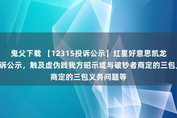 鬼父下载 【12315投诉公示】红星好意思凯龙新增2件投诉公示，触及虚伪践我方昭示或与破钞者商定的三包义务问题等