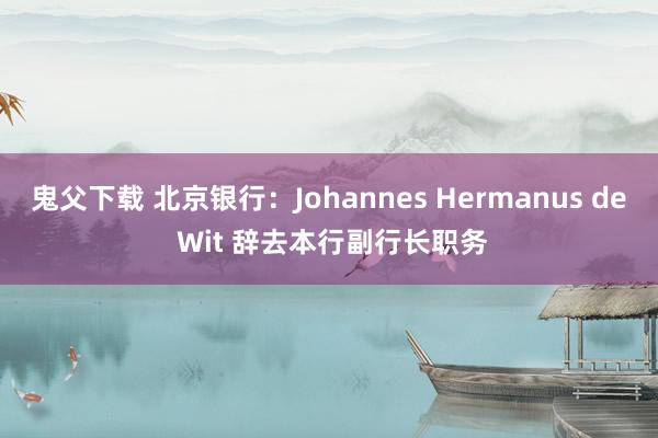 鬼父下载 北京银行：Johannes Hermanus de Wit 辞去本行副行长职务