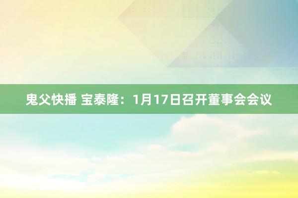 鬼父快播 宝泰隆：1月17日召开董事会会议