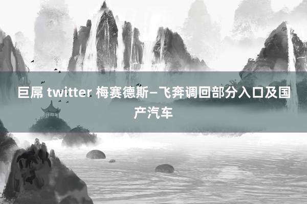 巨屌 twitter 梅赛德斯—飞奔调回部分入口及国产汽车