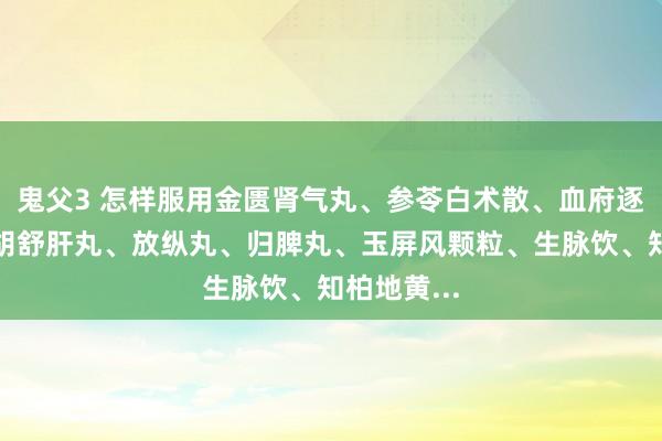 鬼父3 怎样服用金匮肾气丸、参苓白术散、血府逐瘀丸、柴胡舒肝丸、放纵丸、归脾丸、玉屏风颗粒、生脉饮、知柏地黄...