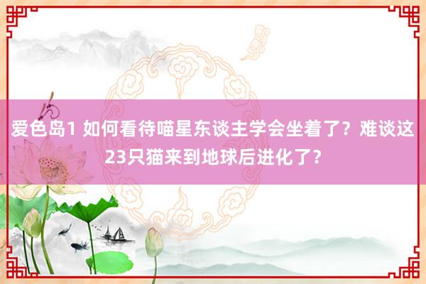 爱色岛1 如何看待喵星东谈主学会坐着了？难谈这23只猫来到地球后进化了？